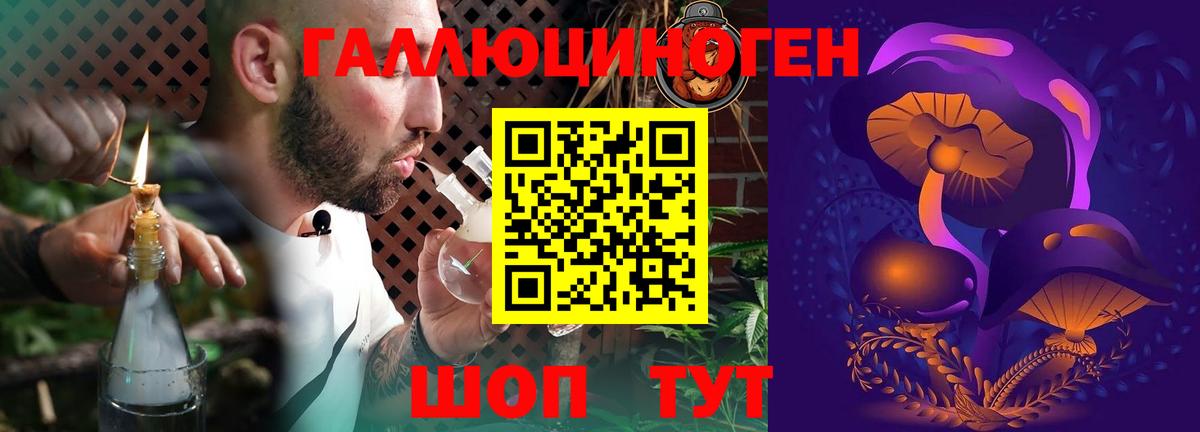 Галлюциногенные грибы мицелий Губкин