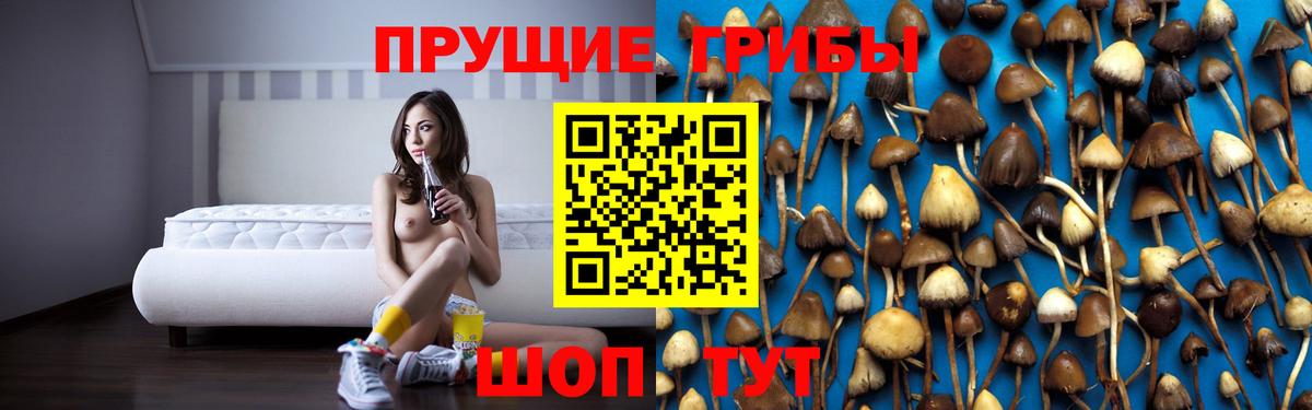 Губкин  Псилоцибиновые грибы ЛСД  Вход с VPN 